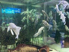 -洛阳龙门海洋馆