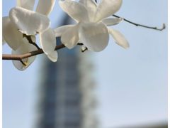 -大报恩寺遗址景区
