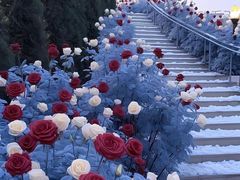 -刘昌兴菜馆(金轮第一城店)