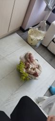 -爱月坊产后护理中心(万达店)