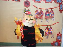 -Angel Garden天使花园幼儿园