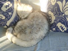 -不舍昼夜咖啡馆
