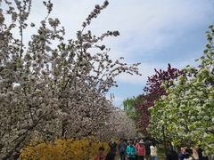 -元大都城垣遗址公园