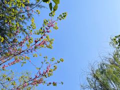 -白塘生态植物园