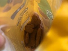 -A猫a狗全科·犬猫异宠·芥西宠物医院(南开总院)