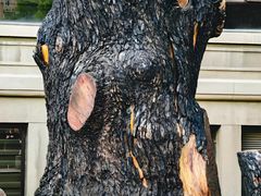 -南京钟山宾馆(江苏省会议中心)