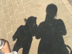 -青龙山国家森林公园
