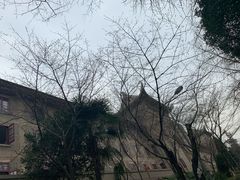 -武汉大学-樱园