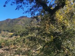 -萍乡武功山风景名胜区