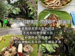 -西双版纳原始森林公园