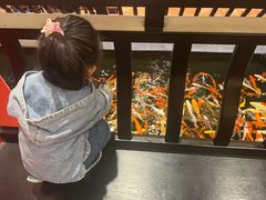-龙悦湾酒家·八阵鱼生·渔人码头店
