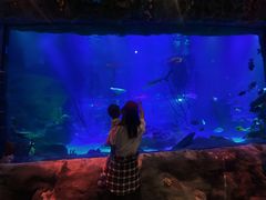 -沈阳海洋探索中心