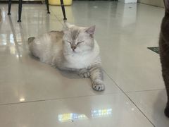 -平行世界·猫咖(首经贸店)