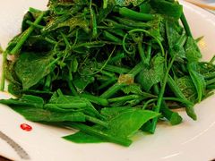 白灼丝瓜尖-渔娘渔家丹东海鲜(东直门店)