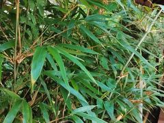 -终南山南五台景区