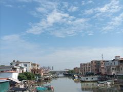 -大湾区中央湿地公园-十九涌