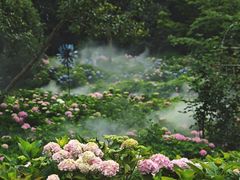 -上海共青森林公园