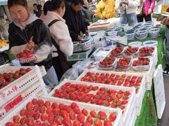 -南坛综合农贸市场