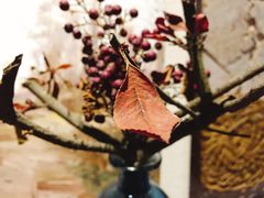 -看见远方·莫干遥远的山民宿