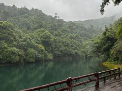 -鼎湖山风景区