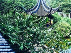 -苏州吴宫泛太平洋酒店