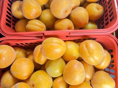 -大自然农场蔬菜草莓采摘园