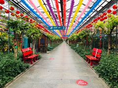 -南宫五洲植物乐园