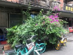 -四川省第二中医医院