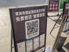 -西安乐游原