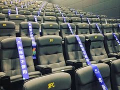 -SFC上影影城(港汇永华IMAX激光店)