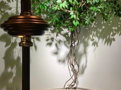 -红云烧烤(星光天地购物中心店)