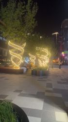 -润复丝·泽发防脱头皮管理