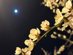 -傅家庄公园