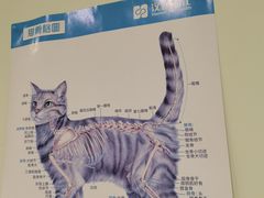 -艾吉宠物医院·疑难杂症转诊中心·猫友好(碧江路院)