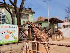 -昆明动物园