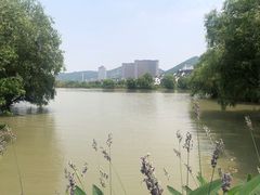 -长兴太湖图影湿地文化园