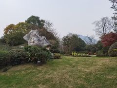 -桃花岛景观公园