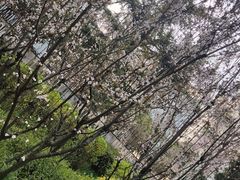 -万州烤鱼川菜馆(许家堰路店)