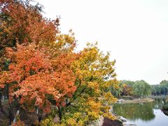 -大兴滨河森林公园