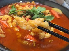 -付掌柜在成都·热炒砂锅集(金禾店)