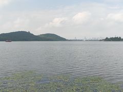 -东湖落雁景区