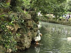 -兰亭风景区