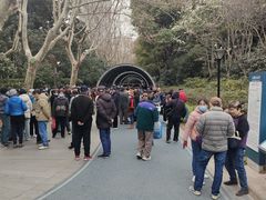 -人民公园-相亲角