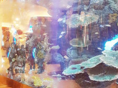 android_upload_pic-长隆横琴湾酒店(珠海旗舰店)