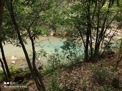 -广州白江湖森林公园