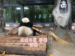 -海南热带野生动植物园