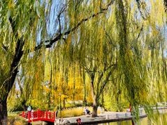 -玲珑塔公园