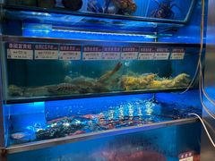-協成海鮮火鍋(老店)