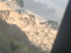 -广州白江湖森林公园