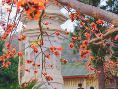 -南普陀寺